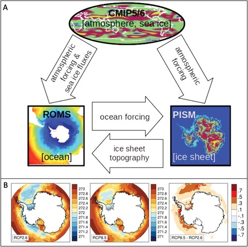 Figure 4. A, Schematic of ice sheet-ocean model coupling using ROMS and PISM. Atmospheric forcing and sea ice is provided by the NorESM1-M CMIP5 model. PISM and ROMS exchange updated ocean forcing of ice shelf cavities and ice sheet topographic changes at 5-year intervals. B, Depth-averaged Southern Ocean temperature and basal ice shelf temperature (K) in PISM at the year 2080 for RCP2.6, RCP8.5, and the scenario difference.