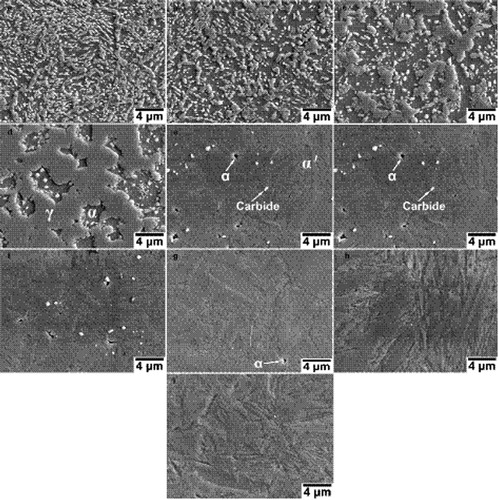 3. Electronic microscopies of alloy partially austenitised at a 750°C, b 770°C, c 790°C, d 810°C, e 830°C, f 850°C, g 870°C, h 910°C and i 950°C respectively, followed by quenching, where α, γ and α′ represent ferrite, austenite and martensite respectively
