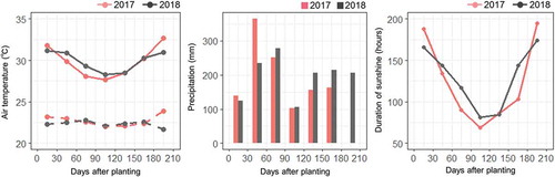 Figure 1. Air temperature, precipitation, and duration of sunshine during the growth periods. For air temperature (left box), solid lines and dashed lines represent maximum and minimum air temperatures averaged for every 30 days after planting. For precipitation (central box) and duration of sunshine (right box), data are the cumulative values for every 30 days after planting.