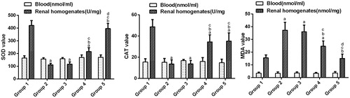 Figure 2. Oxidative studies. Values are expressed as the mean ± standard error (n = 10). (a) p <.05 versus group 1; (b) p < .05 versus group 2; (c) p < .05 versus group 3 and (d) p < .05 versus group 4.