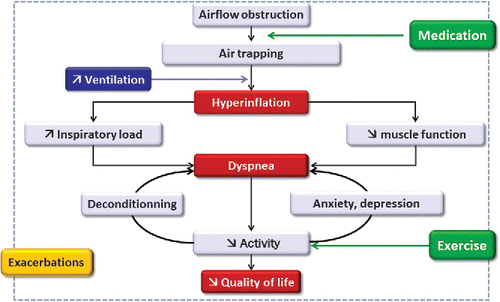 Figure 1. Mechanisms linking chronic airflow limitation to quality of life impairment. Adapted from (Citation7) with permission.