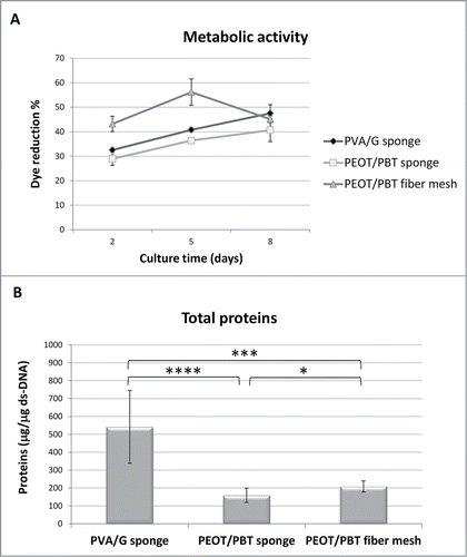 Figure 4. (A) Bar graph showing alamarBlue reduction percentage in PDAC cell/scaffold constructs along the culture time: PVA/G sponge, PEOT/PBT sponge, and PEOT/PBT fiber mesh. Data are reported as mean ± SD. Statistical analysis was performed at the endpoint (P > 0.05). (B) Bar graph showing total protein contents in PDAC cell/scaffold constructs at the culture endpoint. Data are reported as mean ± SD; asterisks indicate the following p values: * = 0.01; *** = 0.0001 and **** = 0.00005.
