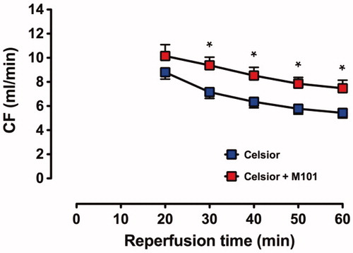Figure 3. Recovery of CF in C and C + M101 groups. CF was measured from t = 20 min. *P < 0.02 versus Celsior.