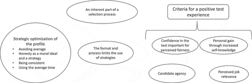 Figure 1. Thematic map over the use of strategies and criteria for a positive test experience.