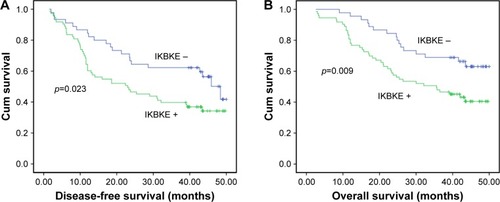 Figure 3 Kaplan–Meier analysis of inhibitor of NF-κB kinase epsilon (IKBKE) expression in 118 cases with esophageal squamous cell carcinoma. IKBKE expression was significantly associated with decreased disease-free survival (A) and overall survival (B).