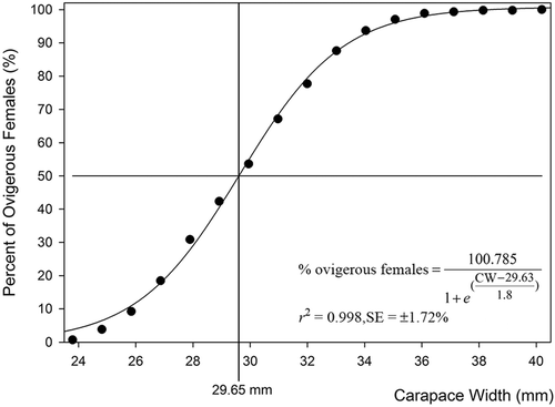 FIGURE 9. Percentage of ovigerous females in the total female population by carapace width for C. aestuarii in Parila Lagoon.