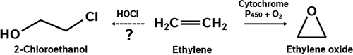 Figure 6. Possible chemical and biological pathways to EO and 2-CE from ethylene