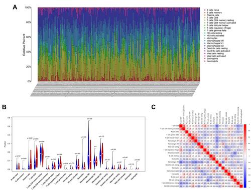 Figure 6 Correlation of CSMD3 mutation with the proportions of 22 TICs. (A) The stacked bar chart presents the proportions of 22 TICs for every sample. (B) The violin plot represents the different proportions of the 22 immune cell types in CSMD3-mutant and CSMD3-wild-type OC samples. Blue indicates the CSMD3-wild-type group, and red indicates the CSMD3-mutant group. (C) Correlations between different immune cell proportions are shown. Red denotes a positive correlation, while blue denotes a negative correlation.