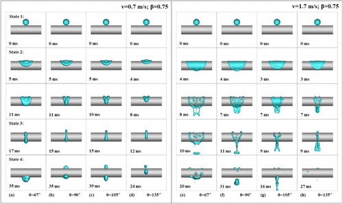 Figure 8. Dynamic impacting sequences (β = 0.75) with an impact velocity of 0.7 m/s on a cylindrical surface with contact angles of: (a) 67°; (b) 90°; (c) 105°; (d) 135°; and dynamic impacting sequences (β = 0.75) with an impact velocity of 1.7 m/s on a cylindrical surface with contact angles of: (e) 67°; (f) 90°; (g) 105°; (h) 135°.