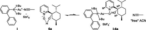 Scheme 4. Coordination of nitrone 6a with JohnPhosAu(ACN)SbF6 I, shown as an equilibrium between [complex I + 6a] and [complex I–6a + “free” ACN].