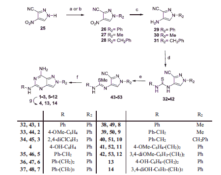 Scheme 1. Reagents and conditions: (a) Ph-B(OH)2, Cu(OAc)2, pyridine, CH2Cl2, 4 Å molecular sieves, room temperature; (b) MeI or PhCH2Br, NaH, anhydrous THF, room temperature; (c) cyclohexene, Pd/C, 150 °C, mw; (d) R–N=C=S, DMF, room temperature; (e) 0.1 M aqueous NaOH, CH3I, room temperature; (f) NH4Cl, formamide, 110–150 °C mw; (g) compounds 2, 11, 12, BBr3, anhydrous CH2Cl2, room temperature or reflux.