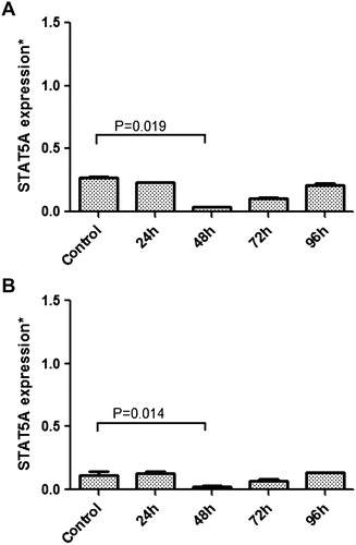Figure 2. Relative mRNA expressional change of STAT5A in MP-treated K-562 (A) and HL-60 (B) cells, and also non-treated cells acting as control, were evaluated by quantitative real-time RT-PCR. A significant decrease in STAT5A expression was seen especially at 48th hour (P < 0.05) in both K-562 and HL-60 cells.