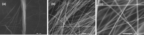 Figure 2. FEGSEM micrographs of pulse electrodeposited nanowires separated from Au/AAO template (a) aligned HEA NWs show their uniform length and flexibility (b–c) are the magnified micrographs indicating the uniform distribution in the width of the nanowires prepared by pulse electrodeposition.