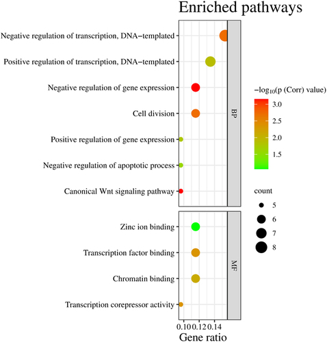 Figure 12. Bubble plot of the significantly enriched GO enriched pathways.