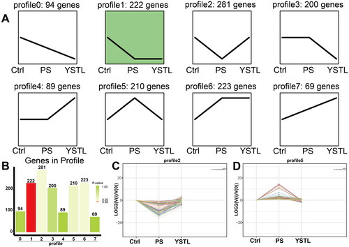 Figure 2. Trend analysis of DEGs. A: Trend pattern diagram based on the trend normalization of the gene expression data. The black line represents the trend line. B: Histogram of the number of genes exhibiting each trend and associated p values. The height of the column represents the number of genes, and the colour of the column represents the p value. C and D: Trend charts for Profiles 2 and 5, respectively. Each line in the figure represents a gene. The abscissa indicates the number of samples, and the ordinate indicates log2(V(i)/V(0)), i.e., the log2 value of the ratio of the expression amount of sample (i) to the expression amount of the first sample.