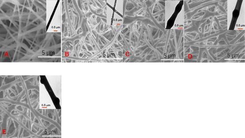 Figure 2 SEM and TEM images of electrospun fibers with TEM images inserted on the top right in each group.