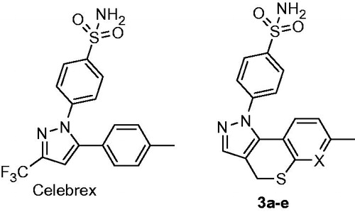 Figure 3. Celebrex and its tricyclic constrained versions 3a–e reported earlier.