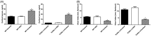 Figure 2. Effect of cortisol administration on stress-induced ulceration. WT and TLR4−/− mice were evaluated for (A) serum cortisol concentrations, and (B) gastric ulcer index (UI) after pretreatment with cortisol. Results represent mean ± SEM (n = 5 mice per group). *p < .05 (one-way ANOVA, Tukey’s test) versus vehicle group (dimethylsulfoxide in saline, 1:200) and control groups (without any treatment).