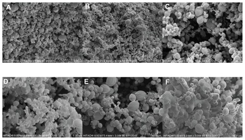 Figure 2 Scanning electron microscopy micrographs of nanoencapsulated paracetamol inside L-polylactic acid at 120 bar and different temperatures: (A) 30°C, (B) 35°C, (C) 40°C, D) 45°C, (E) 50°C, (F) 55°C.