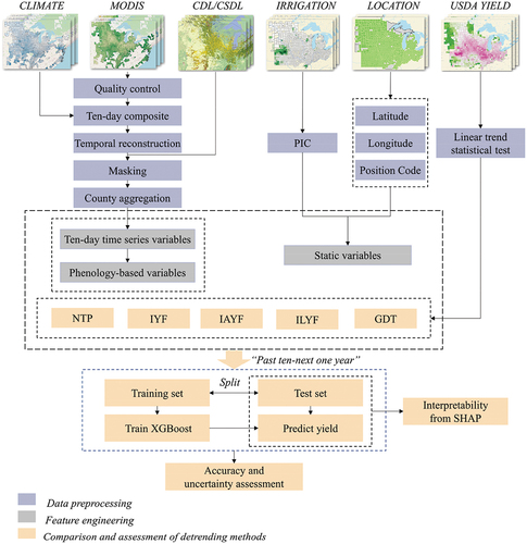 Figure 3. Flowchart of the soybean and maize yield prediction at the county level under the five detrending scenarios employing an XGBoost-based model.