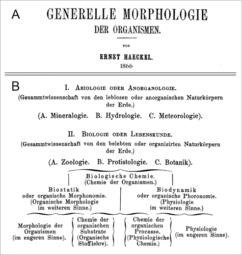 Figure 2. Extracts from Ernst Haeckel's General Morphology of Organisms. Original title (A), and classification of the natural sciences (B). In part I, only the headlines are depicted; in part II, dealing with biology or the science of life, the complete original version of Haeckel's scheme is reproduced. Note that the term “Biodynamik” (biodynamics) was introduced as a synonym for physiology in its broadest sense (adapted from ref. 3).