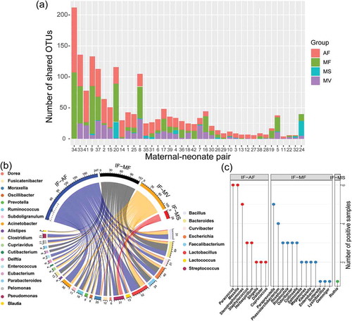 Figure 3. Prediction of the maternal origin of the meconium microbiota by dyad analysis. (a) Number of shared operational taxonomic units (OTUs) between the meconium microbiota and microbiota of different types of maternal samples. (b) Genus-level phylotypes of meconium OTUs that shared with two to four types of maternal samples. The upper half circle illustrates the distribution of sample sharing of these OTUs, while the lower half circle represents their genus-level phylotypes. The phylotype of each OTU shown in the upper half circle is illustrated by a line connecting to the lower half circle. Each assigned genus is illustrated by a different color, and the number written next to the lower circle represents the number of OTUs of the respective genus. The eight meconium genera listed on the right side were common to all four maternal sample types, while the 19 meconium genera listed on the left side were common to two or three types of maternal samples. (c) Meconium genera that were common to only one type of maternal sample. IF: meconium; AF: amniotic fluid; MF: maternal feces; MS: maternal saliva; MV: vaginal fluid.