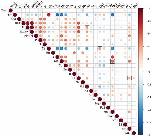 Figure 3. Pearson correlations between the fruit yield, soil fertility and leaf elements of kiwifruit orchards in central Shaanxi province. ‘N.l’ indicates the leaf N and the same for other elements. The hollow dark rectangles indicate significant correlations between the same element for soil and leaf, including N, Ca, Mn and Cl. The red and blue color of the circles indicate the positive and negative sign of the correlations, respectively. Both the size and the color shade of the circles are proportional to the correlation coefficient value. Only significant correlations (P < 0.05, r = 0.182) are displayed and the non-significant correlations are left blank. n = 116