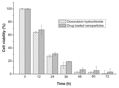 Figure 7 The in vitro inhibition effect of drug-loaded polyrotaxane nanoparticles on 4T1 breast cancer cells.Note: The concentration of doxorubicin was 10 μg/mL.