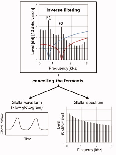 Figure 3. Schematic illustration of inverse filtering. Upper panel: input spectrum and frequency responses of inverse filters 1 and 2 (blue and red curves), which cancel the effects of F1 and F2 on the radiated spectrum. The bottom panels show the result of the inverse filtering in terms of the waveform or flow glottogram, and the spectrum of the voice source (left and right panels).