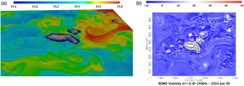 Figure 11. (a) 3D plot representing ROMS Salinity (PSU) over the bathymetry showing the incoming Mediterranean at 1500 m interacting with the islands, for the 12th of June 2014; bathymetric isolines (white) from 0 to 1500 m every 500 m. (b) Relative vorticity (X10−6 s−1) calculated from ROMS velocity fields at 1500 m for the 30th June 2014, showing vortices forming due to the interaction of the incoming Mediterranean flow with island’s bathymetry. Bathymetric isolines from 500 to 2500 m every 500 m.