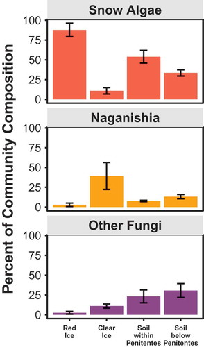 Figure 4. Relative abundance of the main eukaryotic phylotypes as a percentage of total sequences retrieved from penitente ice and soil samples based on polymerase chain reaction (PCR) amplifications of the 18S rRNA gene using Euk1391F/EukBr primer sets. Snow algae make up most of the diversity in red ice samples and they are abundant in soil samples within and just downhill from the penitente field.