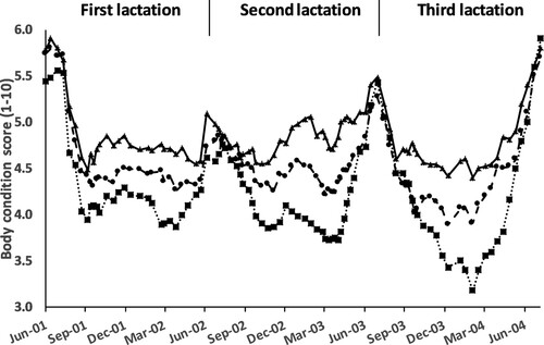 Figure 10. Body condition score for the three strains of Holstein-Friesians over consecutive lactations that were evaluated at a range of feeding allowances in Experiment 26: 'The Dexcel Strain Trial'. (Display full sizeNZ70 = a 1970s high Breeding Worth strain of New Zealand Friesian, Display full sizeNZ90 = a 1990s high Breeding Worth Holstein-Friesian of New Zealand origin, Display full sizeNA90 = a 1990s high Breeding Worth Holstein-Friesian of North American origin).