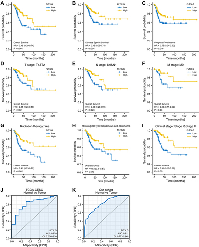 Figure 2 The diagnostic and prognostic value of FLT3LG in CESC is based on the TCGA-CESC data sets and our cohort. (A–C) Survival curves showed OS, DSS, and PFI rates of CESC patients with low or high FLT3LG expression. (D–I) Survival curves showed OS of CESC patients with low or high FLT3LG expression according to (D) T stage, (E) N stage,(F) M stage, (G) Radiation therapy, (H) Histological types, and (I) clinical stage. (J–K) ROC analysis illustrated that FLT3LG expression accurately discriminated CESC tumor tissues from the normal tissues with an AUC of 0.820 (95% CI = 0.709–0.930) from the TCGA-CESC data set and an AUC of 0.811 (95% CI = 0.773–0.848) from our cohort.
