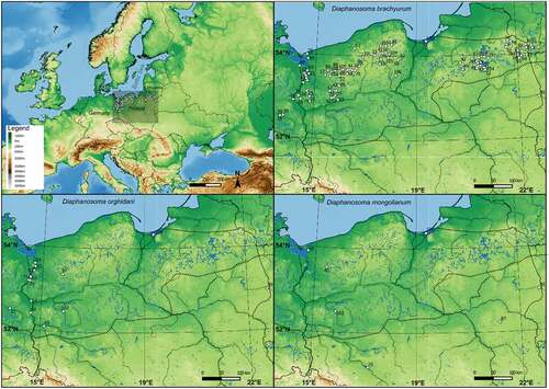 Figure 1. Distribution of three Diaphanosoma species (D. brachyurum, D. orghidani, D. mongolianum) in Central Europe. The dotted line shows the last glacial maximum.