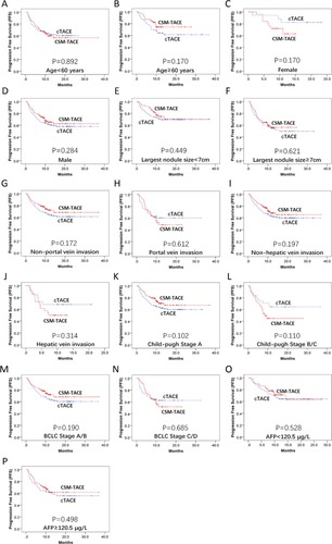Figure 3 Subgroup analyses of PFS. The PFS between the CSM-TACE group and the cTACE group was of no difference in all subgroups (A–P). Kaplan–Meier method and log-rank test were implemented to evaluate the difference of survival between the two groups. P<0.05 was considered significant.Abbreviations: PFS, progression-free survival; CSM-TACE, transarterial chemoembolization with CalliSpheres® microspheres; cTACE, conventional transarterial chemoembolization.