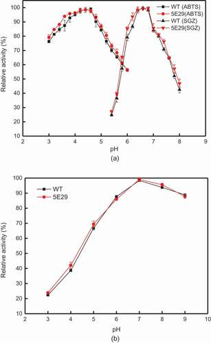 Figure 2. Effect of pH on the activity (a) optimal pH of wild-type CotA and 5E29 mutant for catalyzing ABTS and SGZ; (b) pH stability of wild-type CotA and 5E29 mutant.