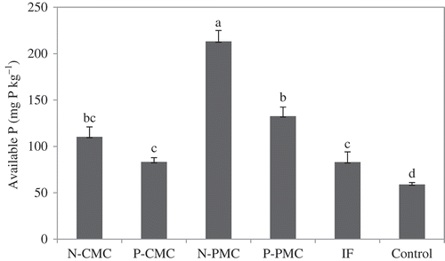 Figure 2 Soil-test phosphorus (Truog-P) content in the plow layer soil (to a depth of 15 cm) after cultivation in 2006. Values are means ± standard deviations. Bars labeled with different letters differ significantly (Tukey’s test, P < 0.05).