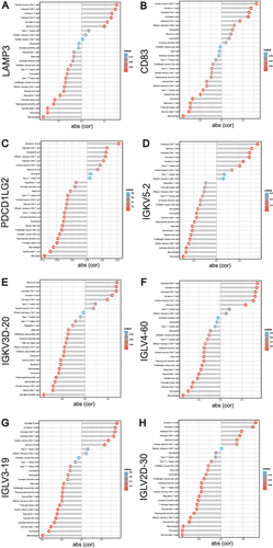 Figure 7 Correlation between METTL1-coexpressed ImmuneDEGs and differential expressed immune cells. Correlation between LAMP3 (A), CD83 (B), PDCD1LG2 (C), IGKV5-2 (D), IGKV3D-20 (E), IGLV4-60 (F), IGLV3-19 (G), IGKV2D-30 (H) and infiltrating immune cells. Pearson correlation test.