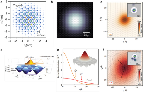 Figure 10. Reconstruction of the real-space resolved exciton wavefunction from momentum-resolved photoemission data. (a–c) Application of the framework of orbital tomography to reconstruct the electron-contribution to the exciton wavefunction of intralayer excitons in bulk WSe2 (a), monolayer WSe2 (b), and heterobilayer WSe2/MoS2 (c). The reported Bohr radii are 1.72 nm, 1.4 nm, and 1.1±0.1 nm, respectively. (d) Calculated real-space envelope of the interlayer exciton wavefunction in the center-of-mass coordinate on 2.2∘ twisted WSe2/MoS2. (e) Analysis of the exciton Bohr radius of intralayer and interlayer excitons in WSe2/MoS2. (f) Reconstruction of the real-space distribution of the electron-contribution to the exciton wavefunction of interlayer excitons in 9.8∘ twisted WSe2/MoS2. Panel a is adopted from ref.  [Citation49] under Creative Commons Attribution License 4.0 (CC BY). Panel b is adopted from ref.  [Citation48] under Creative Commons Attribution License 4.0 (CC BY). Panels c,e,f are adopted from ref.  [Citation50] (Copyright by Springer Nature). Panel d is adopted from ref.  [Citation55] (Copyright by Springer Nature).