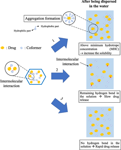 Figure 16 Schematic illustration of drug dissolution from drug-coformer/MPS.
