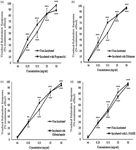 Figure 4. Concentration-response relaxant effect (mean ± SEM) of C. longa on methacholine (10 μM) -induced contraction of rat tracheal smooth muscle in non-incubated (n = 8) and incubated tissues with (a) propranolol (1 μM, n = 8), (b) diltiazem (5 μM, n = 8), (c) glibenclamide (1 μM, n = 7) and (d) L-NAME (300 μM, n = 7). ***: p < 0.001 compared to saline. There was no significant difference in the effect of the extract between non-incubated and incubated tissues with different agents. Statistical comparison was performed using ANOVA with Tukey Kramer post-test.