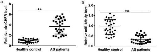 Figure 1. Serum levels of circCHFR and miR-15b-5p in atherosclerosis patients.