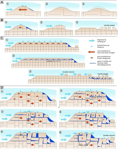 Figure 9. Conceptual models of glaciotectonic disintegration of roche moutonnées with different internal fracture patterns. Arrows indicate forces exerted by ice; and resisting forces of the rock mass. Arrow size indicates relative magnitude of forces. (A) Whaleback with few/no internal fractures. (B) Short roche moutonnée with continuous subhorizontal fractures. (C) Long roche moutonnée with continuous subhorizontal fractures, simple orthogonal fracture pattern. (D) Roche moutonnée with irregular, interlocking fracture pattern and discontinuous subhorizontal fractures. Figure © Svensk Kärnbränslehantering AB.