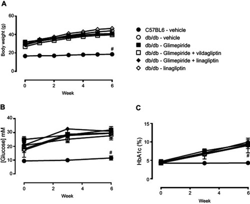 Figure 1 Body weights (A), blood glucose concentration (B) and HbA1c (C) in the six different groups of mice over the 6-week treatment period. All parameters were significantly higher in db/db compared to C57/BL6 mice and none of the treatments had any effect. Data are expressed as means ± standard error (SEM). #p<0.001 compared to db/db over the 6-week treatment period, two-way ANOVA and Dunnett’s test, n=10–12.