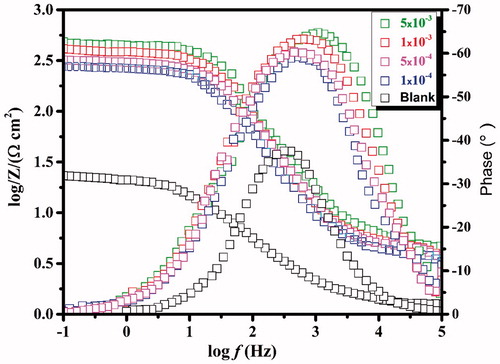 Figure 3. Bode impedance plots and phase angle plots recorded for carbon steel without and with various concentrations of CPHQ at 303 K.