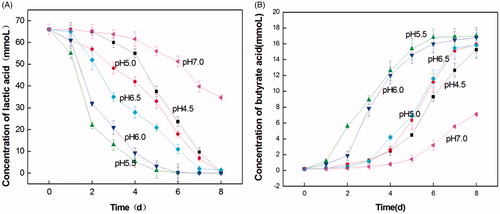 Figure 5. The growth feature of lactate-utilising and butyrate-producing at different initial pH. (A) The curve of lactate-utilising by LY33 at different initial pH. (B) The curve of butyrate-producing by LY33 at different initial pH. When the pH was at 5.5 and 6.0, LY33 transformed lactic acid faster and more butyric acid was produced. And LY33 almost transformed all 66 mmol lactic acid by the 5th and 6th days into around 17mmol butyric acid. When the pH was at 7.0, LY33 transformed very ineffectively, as only 34.7mmol lactic acid was transformed and 7.12mm butyric acid was produced. When the pH was at 4.5, 5.0 and 6.5, the transformation of lactic acid and production of butyric acid were of medium effectiveness, LY33 transformed all 66 mmol lactic acid into around only 16mmol butyric acid after 8 days.