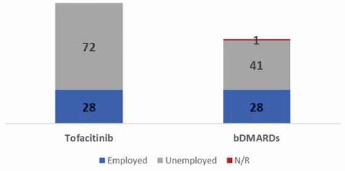 Figure 1. Baseline employment status of the patients.