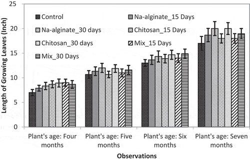 Figure 1. Effect of irradiated chitosan and Na-alginate of the growth of pineapple leaves