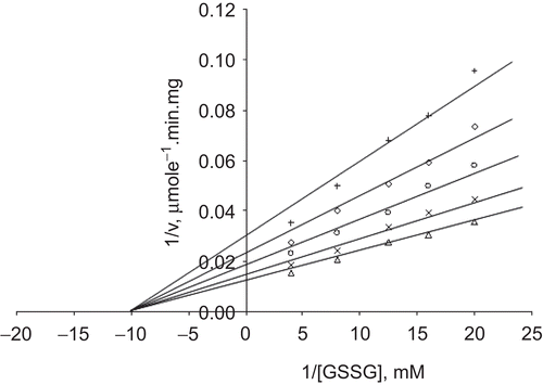 Figure 2.  Lineweaver–Burk double reciprocal plot of initial velocity against GSSG as varied substrate and Cd2+ (0–0.25 mM) as inhibitor at fixed NADPH (0.1 mM) concentration. ▵ 0.1 mM NADPH (constant), ×0.1 mM Cd2+, ○ 0.125 mM Cd2+, ◊ 0.15 mM Cd2+, + 0.25 mM Cd2+.