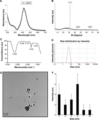 Figure 1 Synthesis and characterization of AgNPs using resveratrol.Notes: (A) The absorption spectrum of AgNPs synthesized using resveratrol. (B) X-ray diffraction spectra of AgNPs. (C) Fourier transform infrared spectra of AgNPs. (D) Size distribution of AgNPs measured by dynamic light scattering. (E) TEM images of AgNPs. (F) Several fields were used to measure the particle size of AgNPs; micrograph shows size distributions based on TEM images of AgNPs ranging from 3 to 20 nm.Abbreviations: AgNPs, silver nanoparticles; TEM, transmission electron microscopy.
